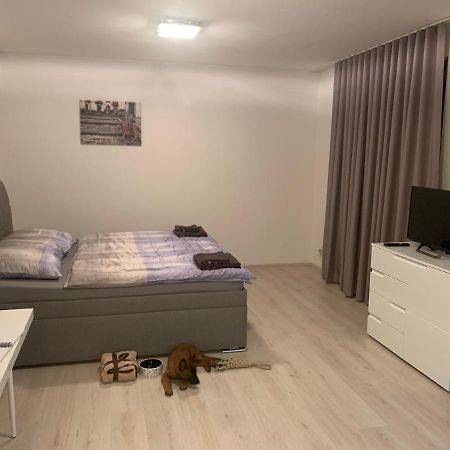 Modern Apartment In The City Center Пльзень Экстерьер фото